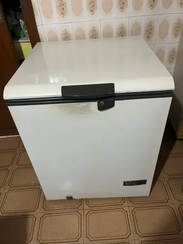Freezer 140L 220v
