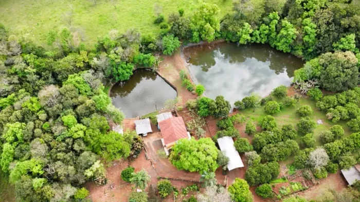 Chácara Exclusiva de 5 ha em Nova Itaberaba - Um Pequeno Paraíso Próximo a Chapecó