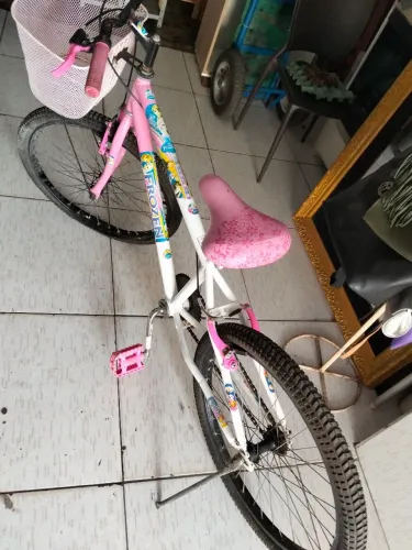Bicicleta aro 24