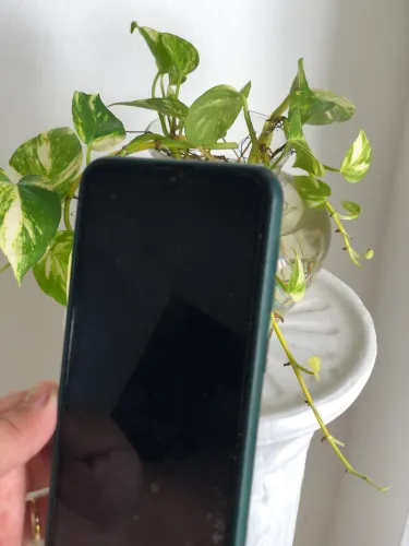 Carcaça celular Samsung 