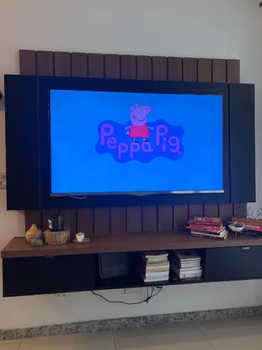 Televisão