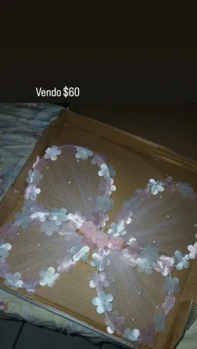 Asinha de borboleta