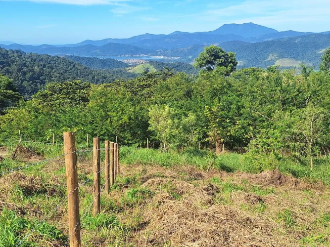 TERRENO DE SERRA C VISTA PARA O MAR ( PARATY- RJ)