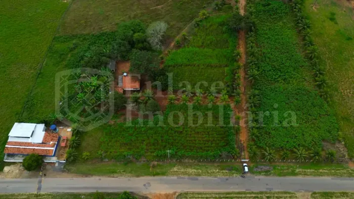 Vendo Chácara de 10 hectares às margens da pista em São Miguel de Taipu a 40 minutos de Jo