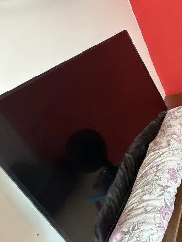 Televisão