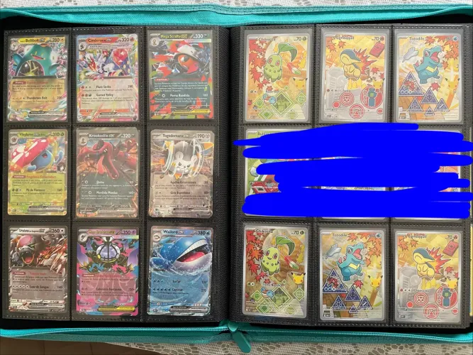 Lote cartas Pokémon