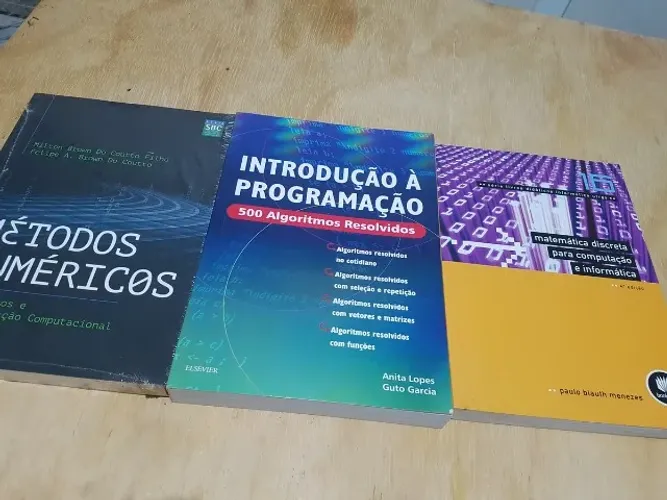 Métodos Numéricos Fundamentos e Implementação Comp. e Introdução à Programação 3 Livros