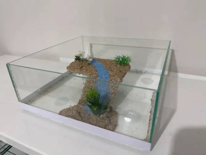 Terrário novo modelo tabuleiro plataforma central