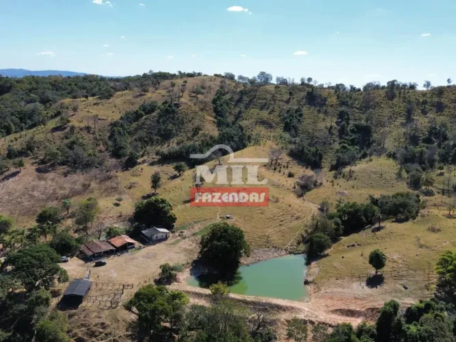 Fazenda 28.5 Alqueires (137,49 Hectares) Itapuranga - GO