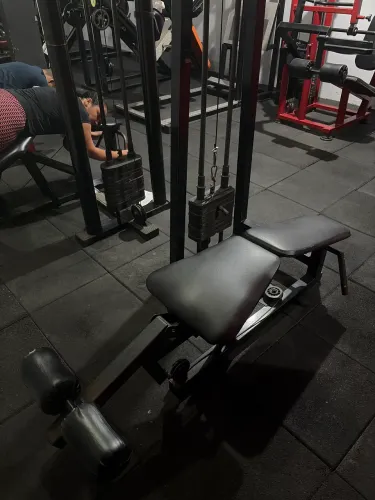 Mesa flexora 