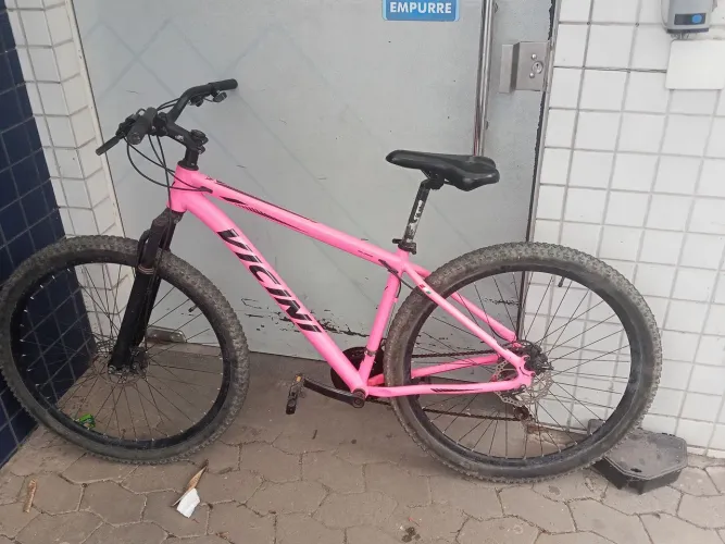 Vicini bike 