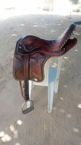 Cela de vaquejada profissional