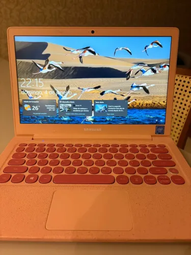 Notebook Samsung Flash F30 Intel Celeron W10 4Gb 64GB Ssd 13.3