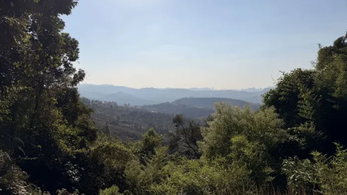 Terreno em Condomínio/Macacos/Nova Lima