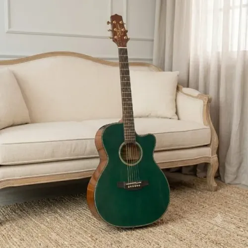Violão Takamine LTD 2025 novo