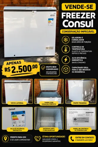 VENDO FREEZER CONSUL