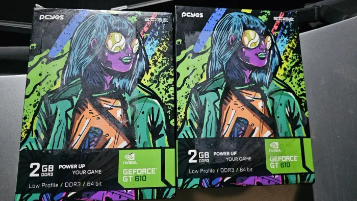 Placa de vídeo GeForce Gt 610 2 unidades  