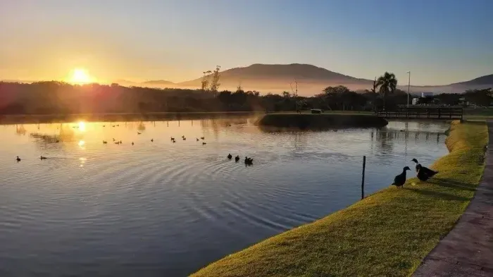 Terreno em Condomínio Fechado 453m² - Ratones