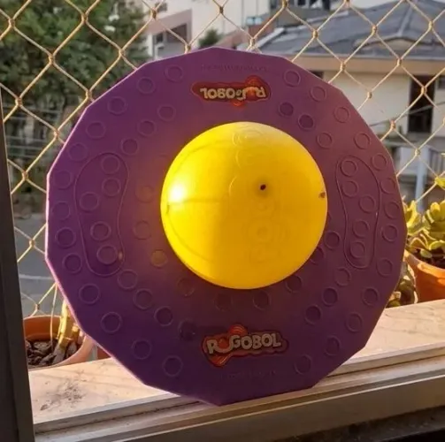 Pogobol Roxo e Verde Estrela - Quase Novo