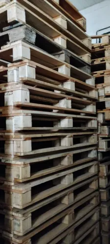 Palet Descartável de Madeira 1,20x1,00 nunca foi usados