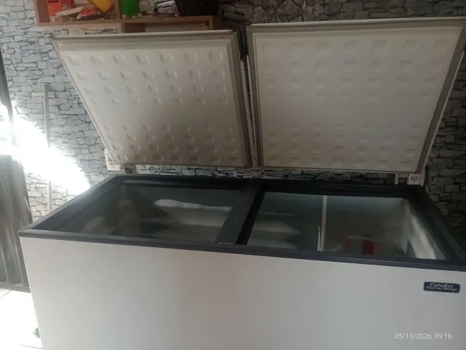 Vendo freezer seminovo nunca foi mexido com 1 ano e meio de uso. Freezer em bom estado. 