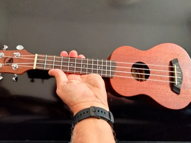 Ukulele