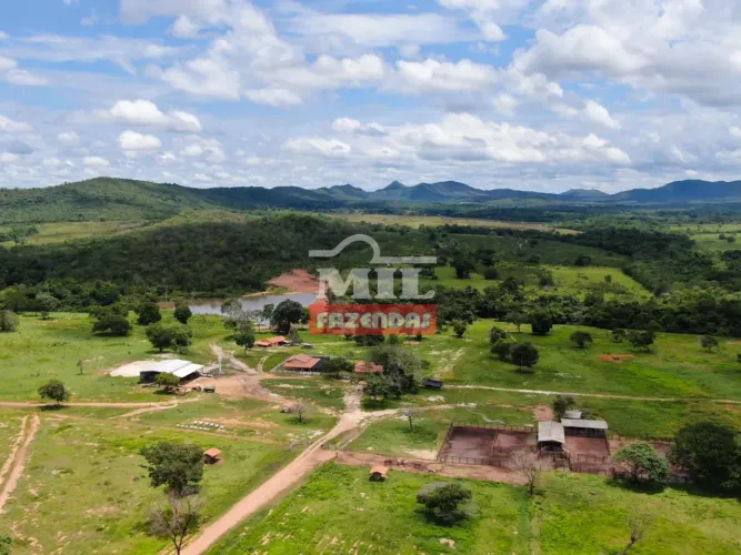 Fazenda 1.336 Alqueires (6.466 hectares) Peixe - TO