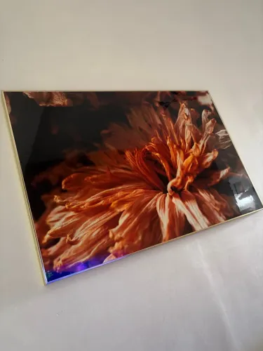 Quadro decorativo 