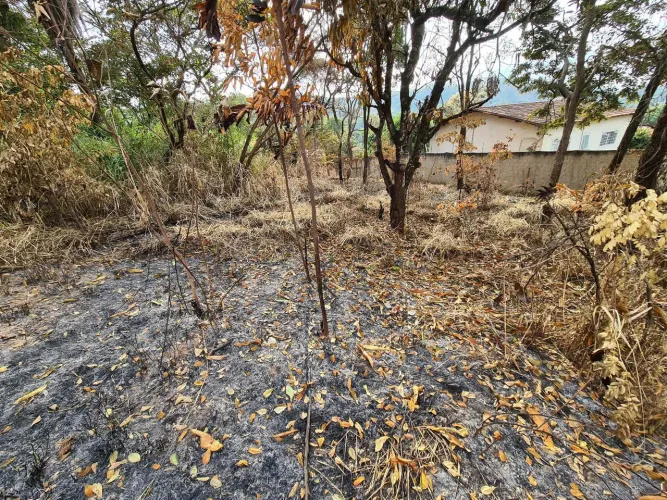 Lote Vale das Acácias
