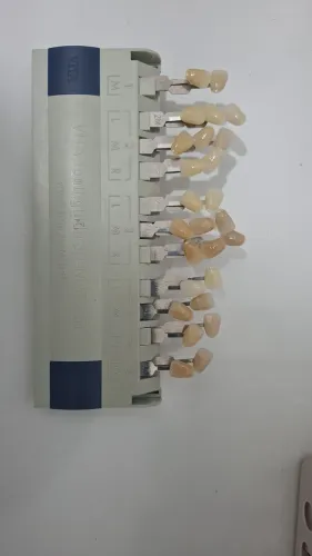 Escala vita original 3D MASTER