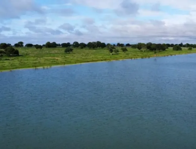 Fazenda à Venda em Barra do Garças - 4.644 Hectares  | Dupla Aptidão