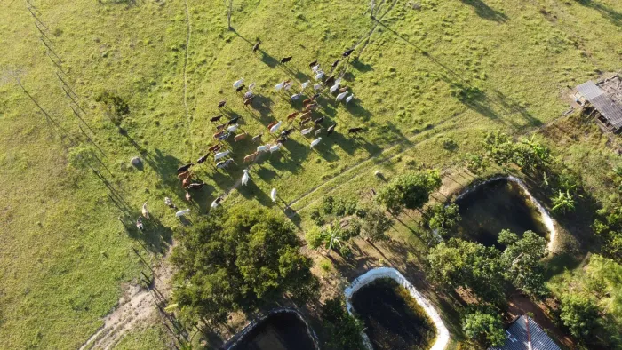 VENDO FAZENDA EM VIANÓPOLIS GOIAS