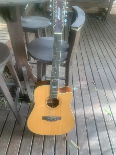 Violao 12 cordas Stinberg