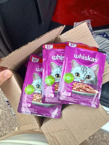 Whiskas para gatos