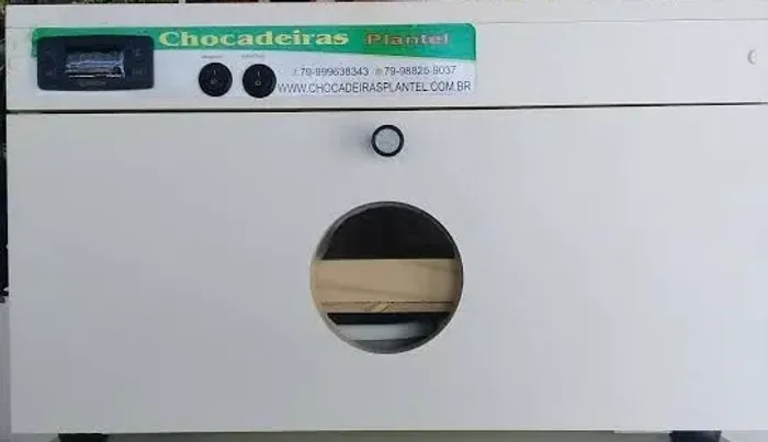 Venda de uma chocadeira para 90 ovos