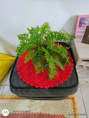 Centro de mesa artesanal 