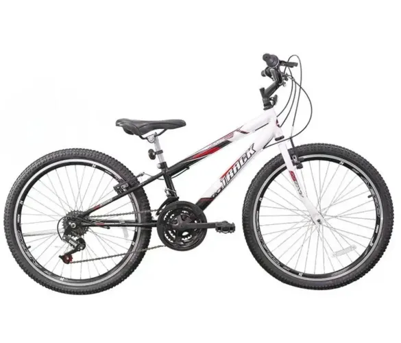 Bicicleta Track Aro 24