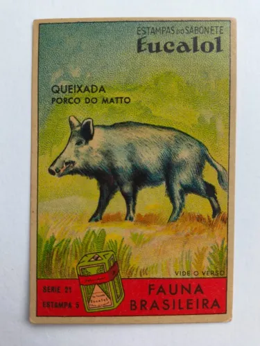 Antiguidade - Estampa do sabonete Eucalol - Fauna brasileira - Queixada