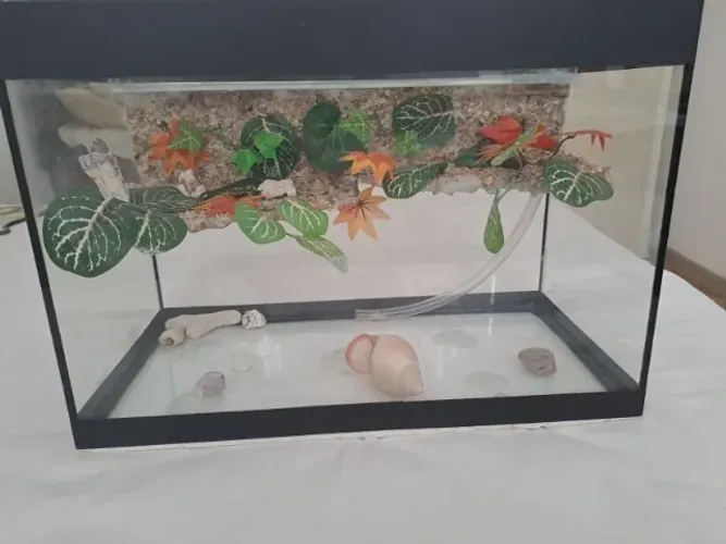 Aquaterrário com cascata (marca PETZ)