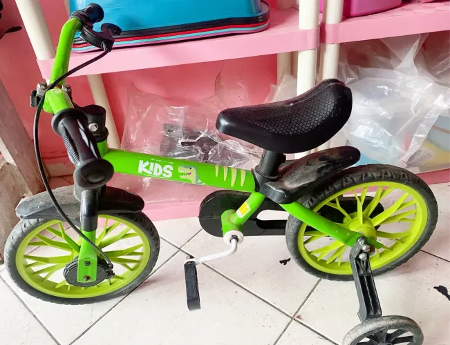 Biclieta infantil dinossauro