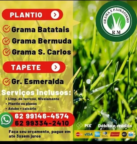 Vendas de gramas e fazemos todos os tipo de plantio