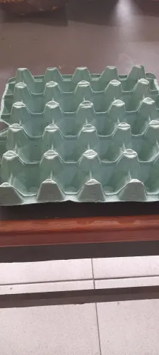 CARTELA PARA OVOS DE 20 UNIDADES