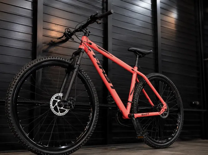 Bicicleta First Smitt