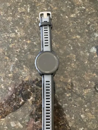 Garmin 165