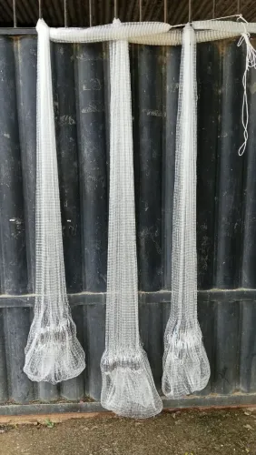 Tarrafas