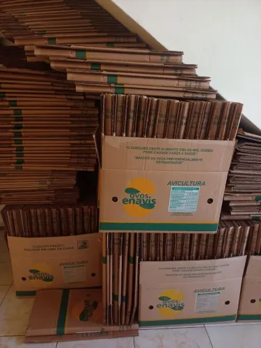 Vendo caixas grande de papelão