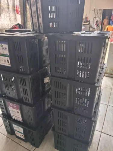 Caixas organizadoras 