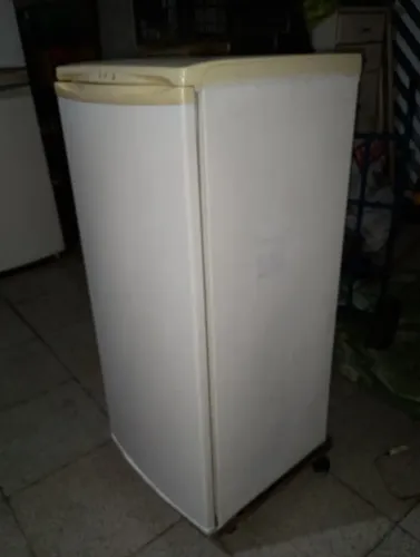 Freezer vertical 110 volts.