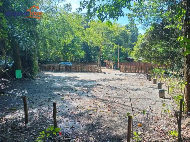 Terreno à venda, 900 m² por R$ 1.300.000,00 - Praia do Félix (Praia do Lúcio) - Ubatuba/SP