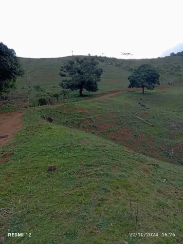 Imóvel para venda tem 300000 metros quadrados em Algodão - Ibirataia - BA